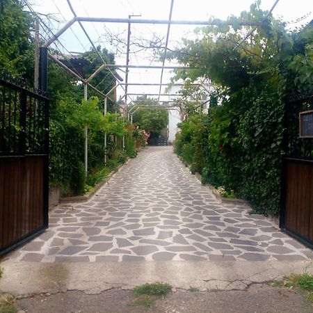 Guesthouse Giorgi Telavi Exterior photo